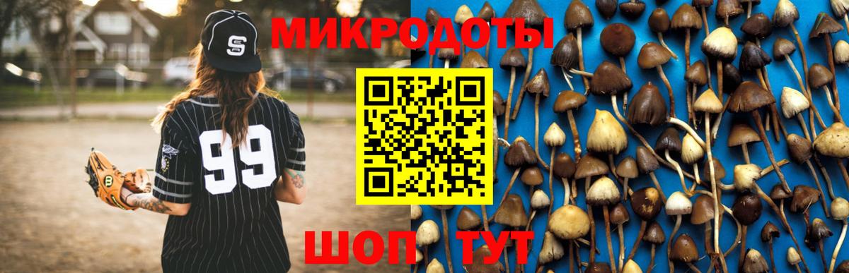 Галлюциногенные грибы Psilocybine cubensis  Вход с VPN  Кашира 